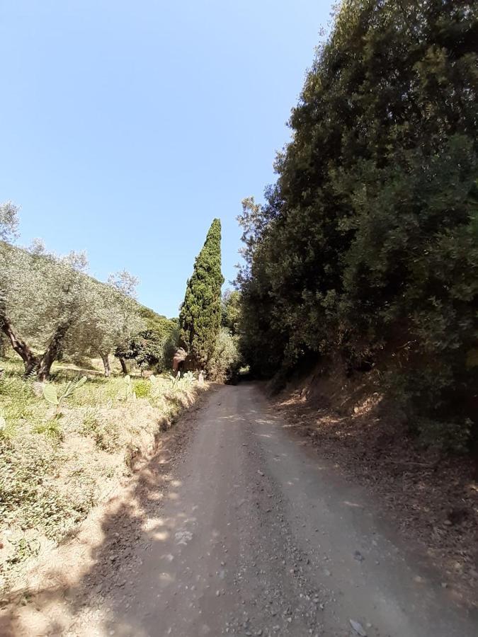 شقة Podere Barlo كامبيليا ماريتيما المظهر الخارجي الصورة