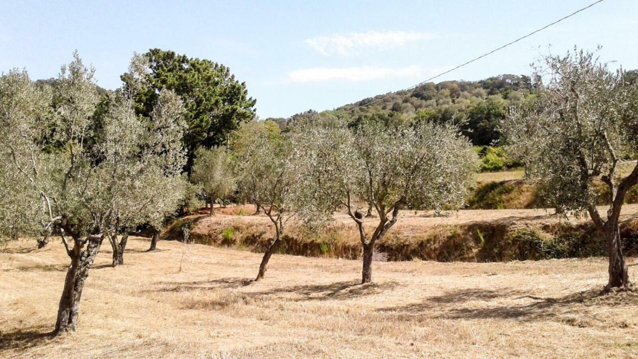 شقة Podere Barlo كامبيليا ماريتيما المظهر الخارجي الصورة