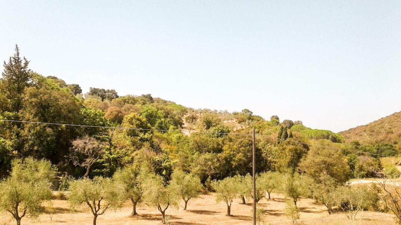 شقة Podere Barlo كامبيليا ماريتيما المظهر الخارجي الصورة